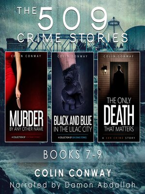 cover image of The 509 Crime Stories